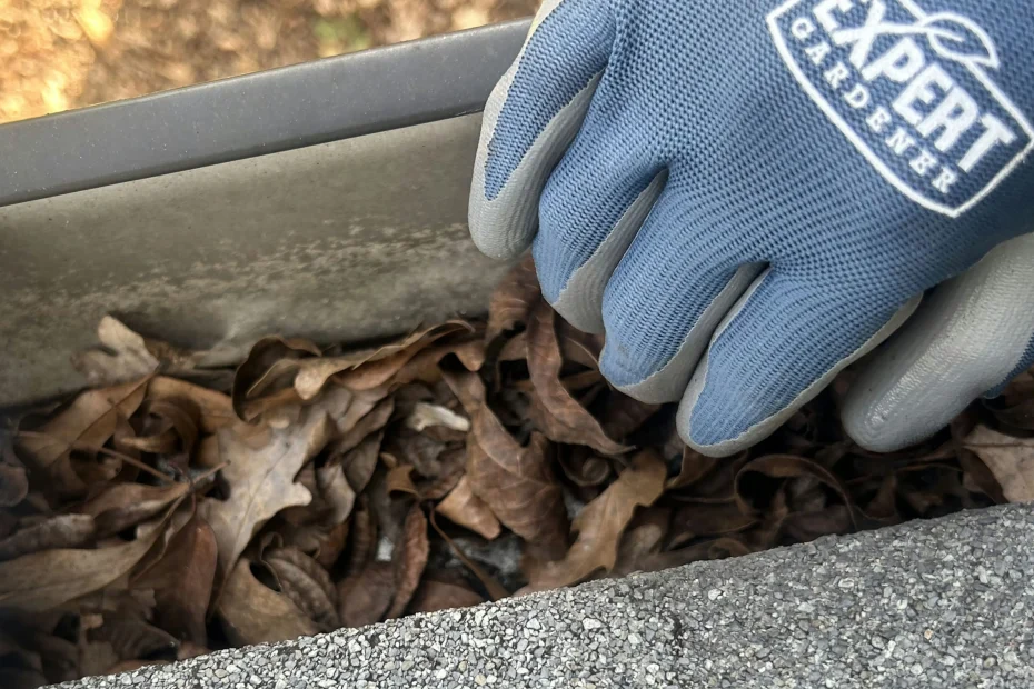 Gutter Cleaning Lewisville