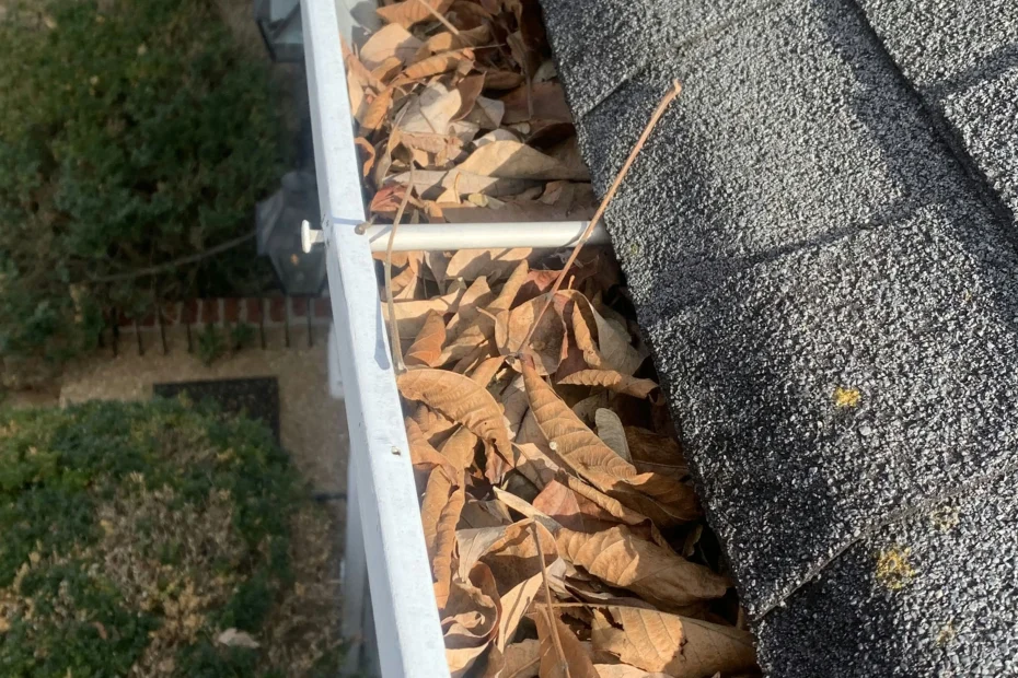 Gutter Cleaning Lewisville