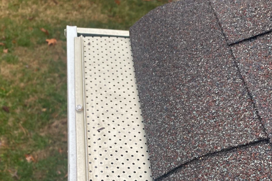 Gutter Cleaning Lewisville