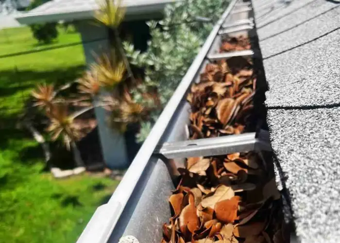 Gutter Cleaning Lewisville home page